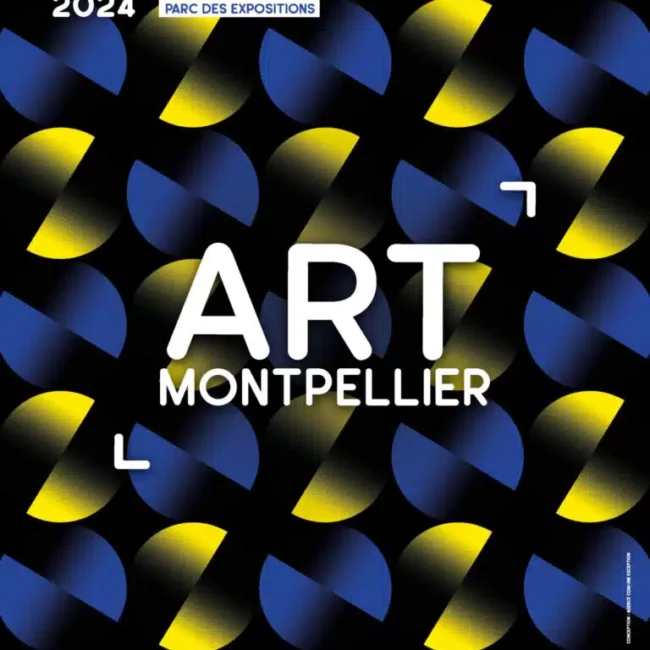 Art Montpellier Fabien Boitard