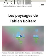 Les paysages de Fabien Boitard. média Art Critique